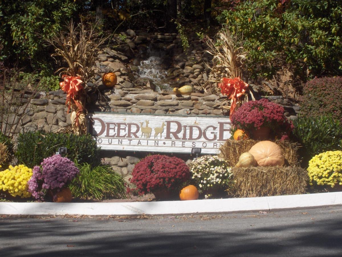 Deer Ridge Mountain Resort Pittman Center Exterior foto